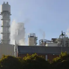 Elektrownia Malbork: Historia, działanie i edukacja o energii