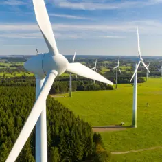 Czy elektrownie wiatrowe są ekologiczne? Odkryj ich ukryte wady i zalety