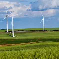 Ile można zarobić na elektrowni wiatrowej? Zaskakujące fakty o zyskach