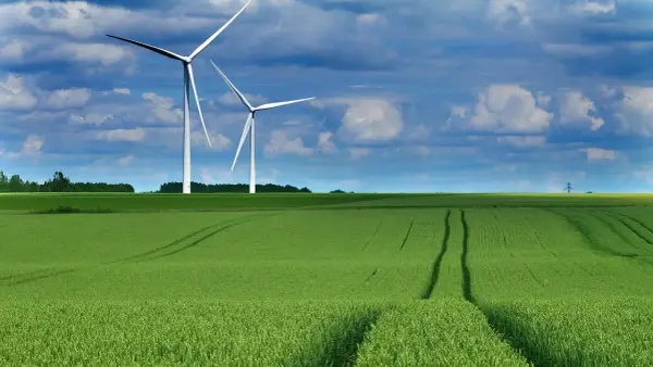 Białe certyfikaty energetyczne - jak uzyskać i na czym zarobić?